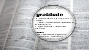 Gratitude (3)